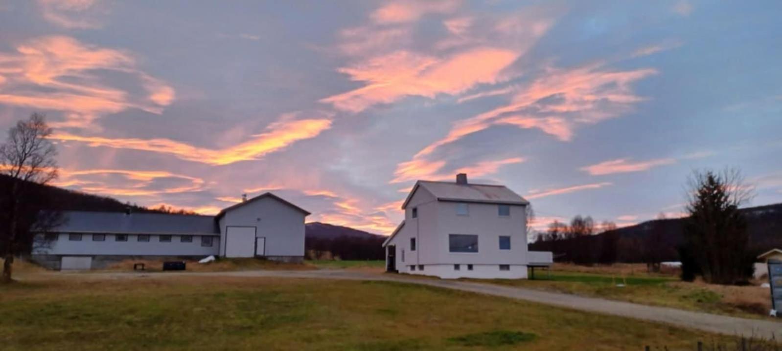 Villa Tonsvik Enebolig Tromsø Esterno foto