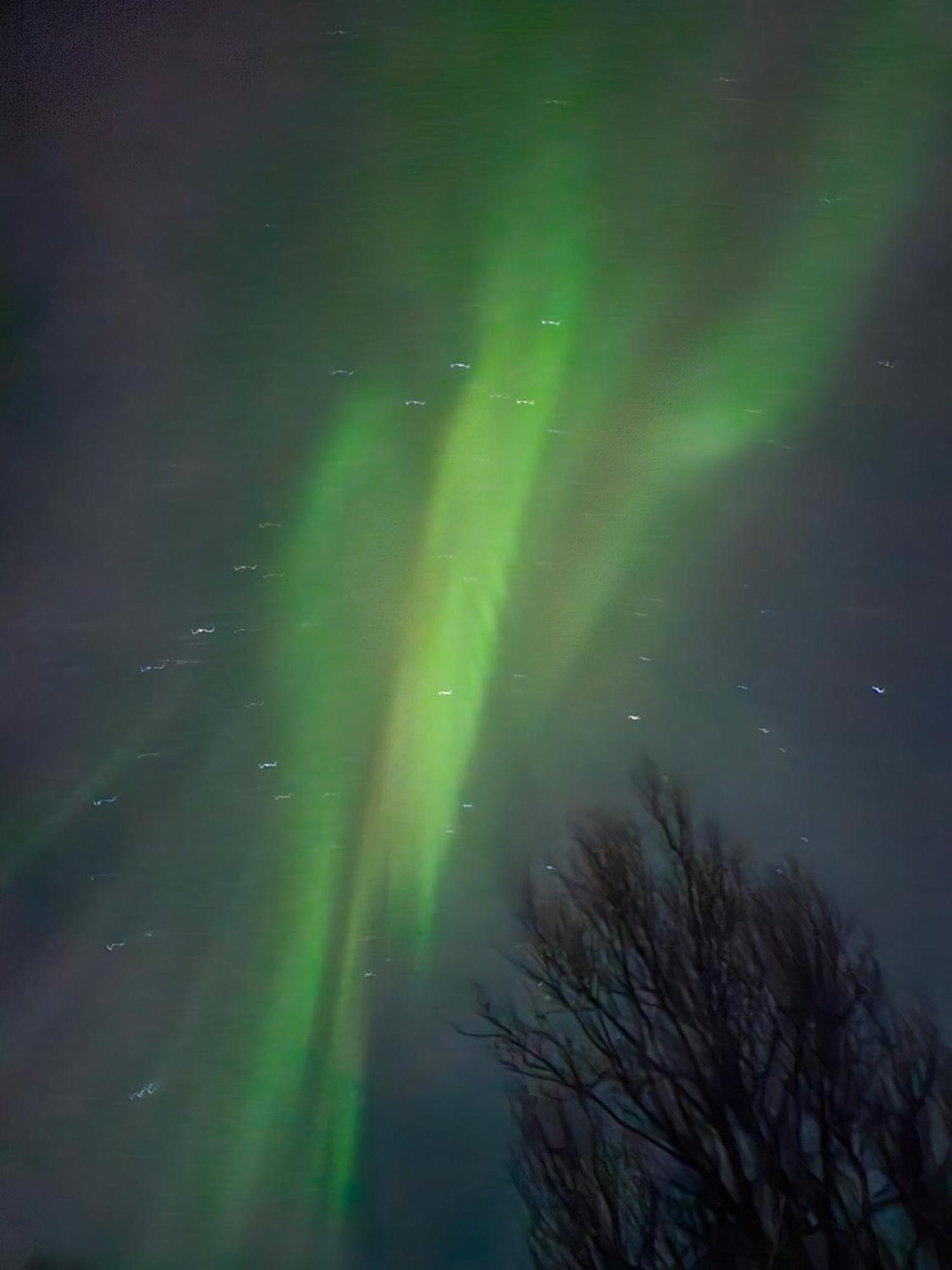 Villa Tonsvik Enebolig Tromsø Esterno foto